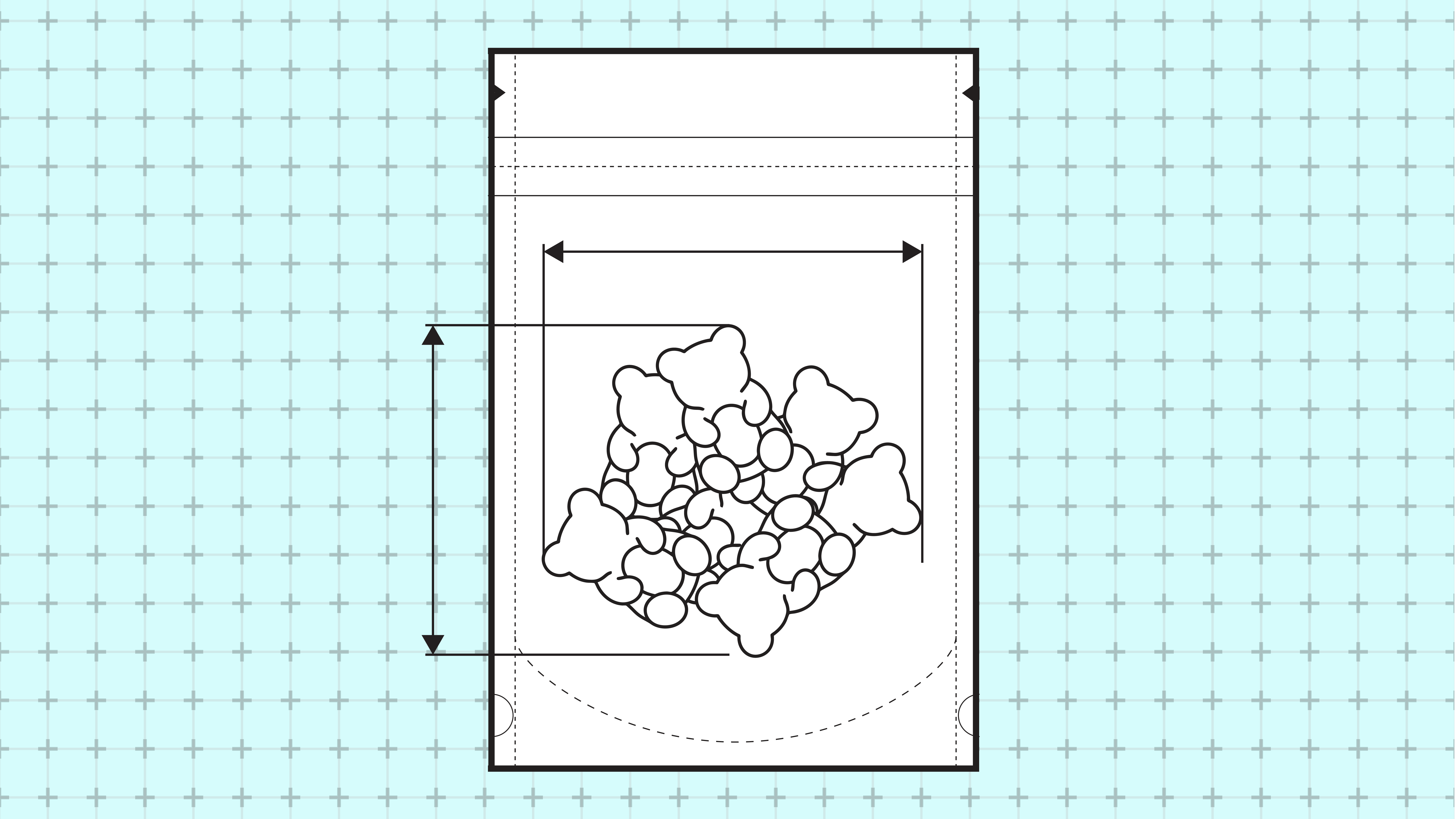 Custom pouch example showing specialized design and dimensions